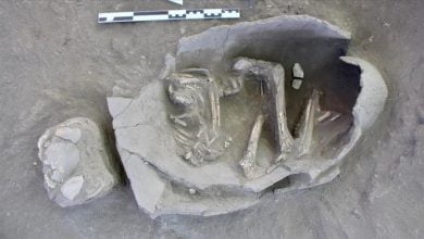 العثور على مقبرة أثرية بداخلها هياكل لـ25 طفلا ترجع إلى 5 آلاف عام في تركيا